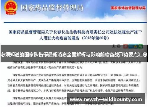 必须知道的国家队伤停最新消息全面解析与影响前瞻备战形势要点汇总
