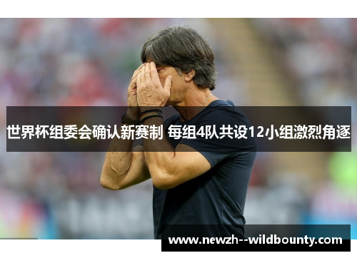 世界杯组委会确认新赛制 每组4队共设12小组激烈角逐