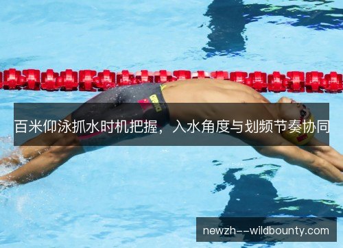 百米仰泳抓水时机把握,入水角度与划频节奏协同 百米仰泳抓水时机把握,入水角度与划频节奏协同