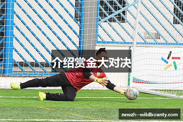 介绍赏金大对决